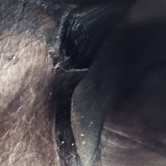 Browns men's black leather square toe lace up front dress shoes. Size 39 - Picture 14 of 16